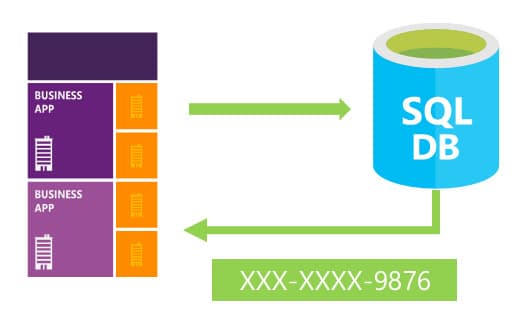 Top 5 SQL Server Encryption Options [Ultimate Guide]