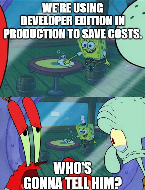 SpongeBob says they're using Developer Edition in production; others look horrified.